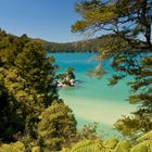 Abel Tasman N.P. - Neuseeland - Südinsel