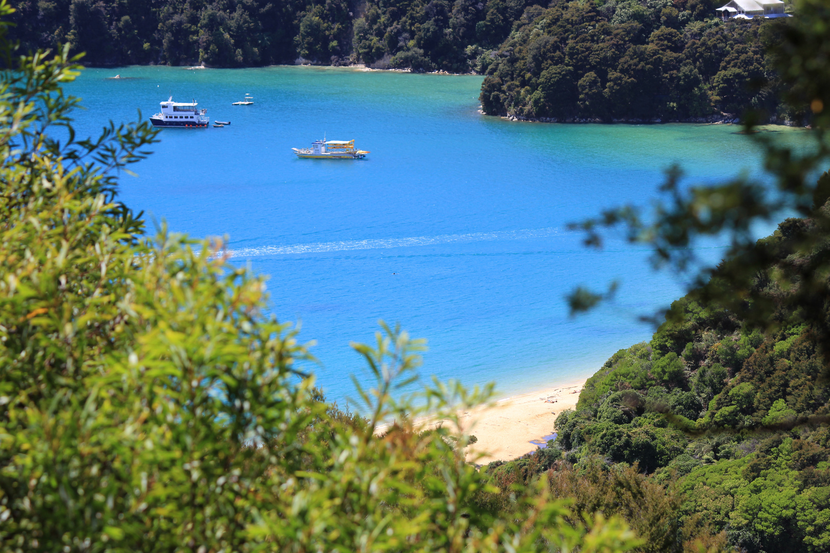 Abel Tasman Track