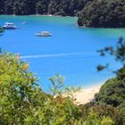 Abel Tasman Track