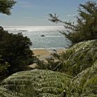 Abel Tasman Track