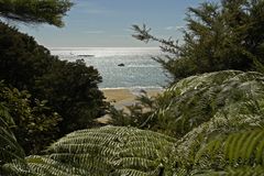 Abel Tasman Track