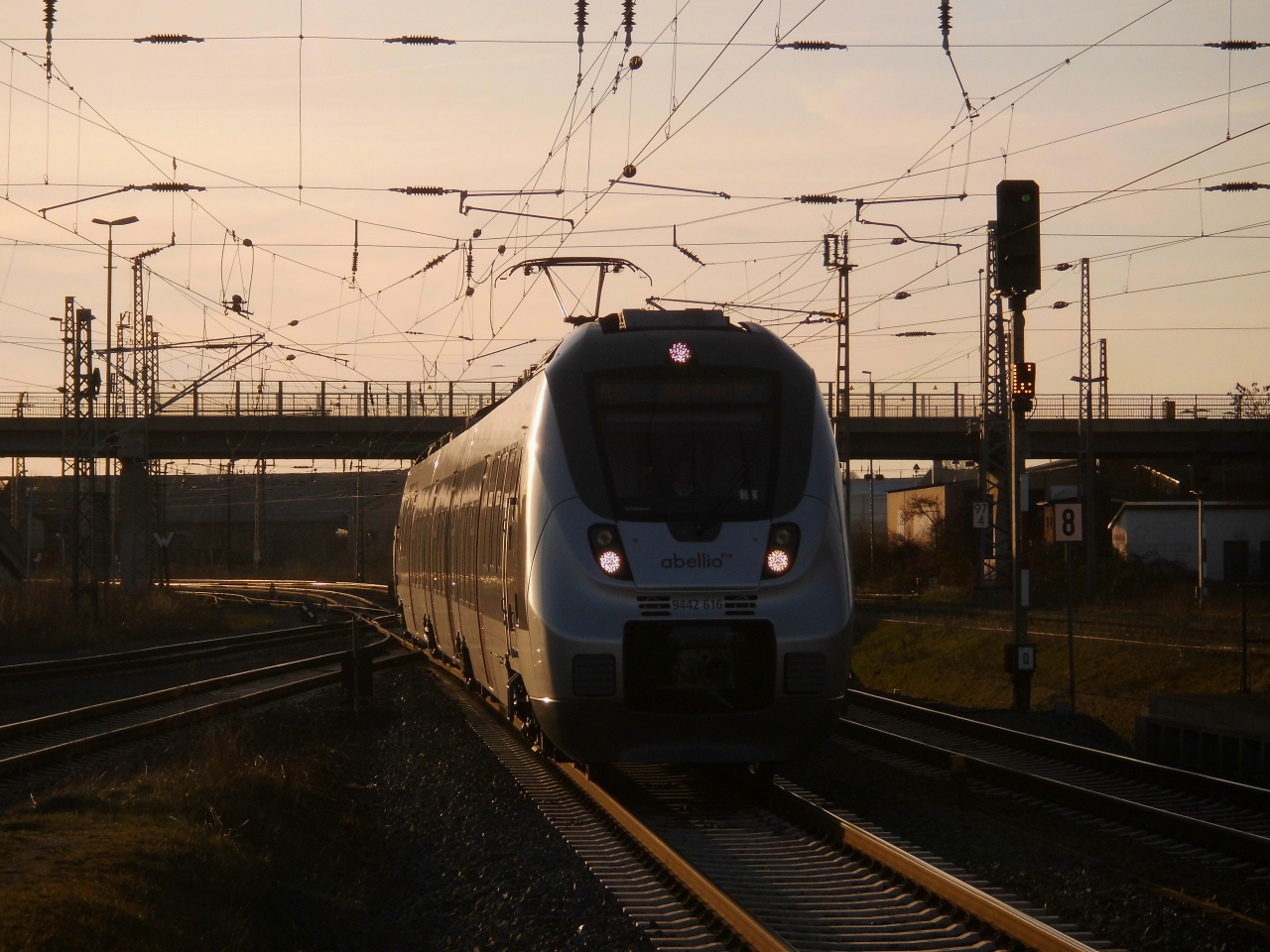 Abellio Hamster im Nordhäuser Abendlicht.