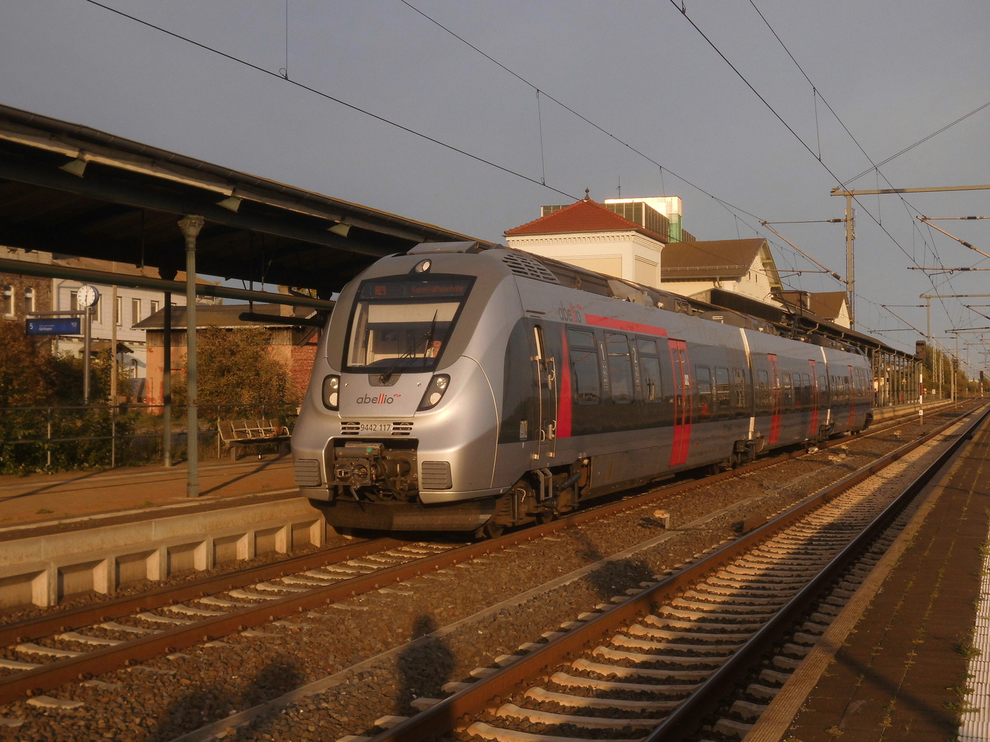 Abellio Hamster im Nordhäuser Abendlicht 1.