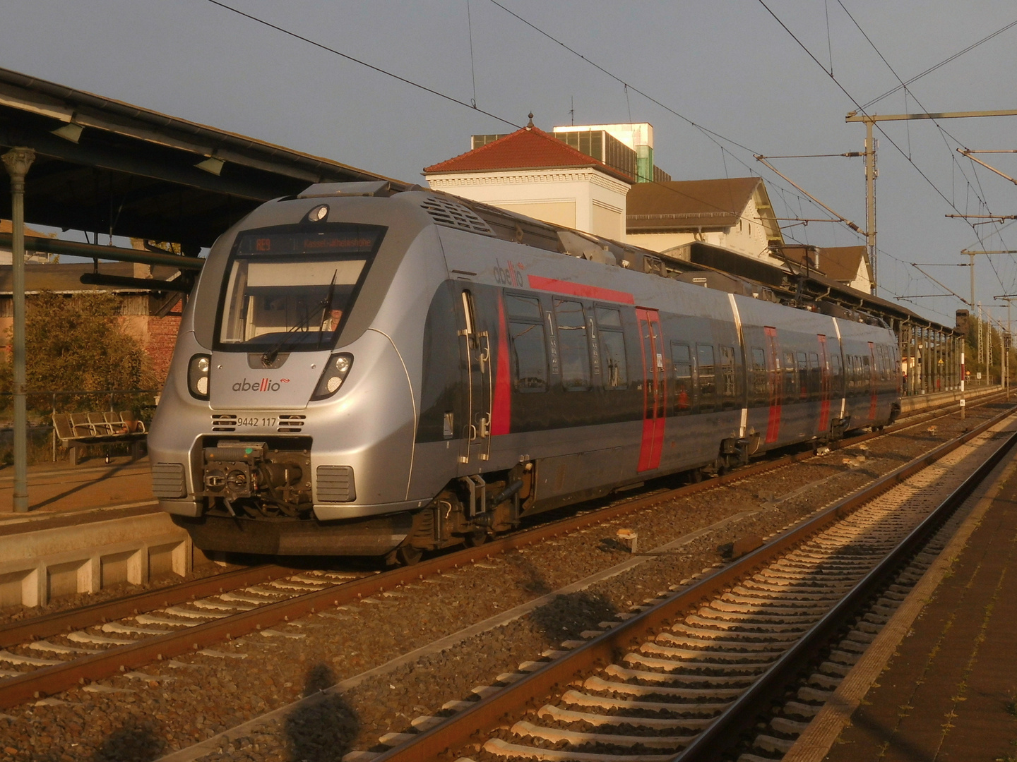 Abellio Hamster im Nordhäuser Abendlicht 2.