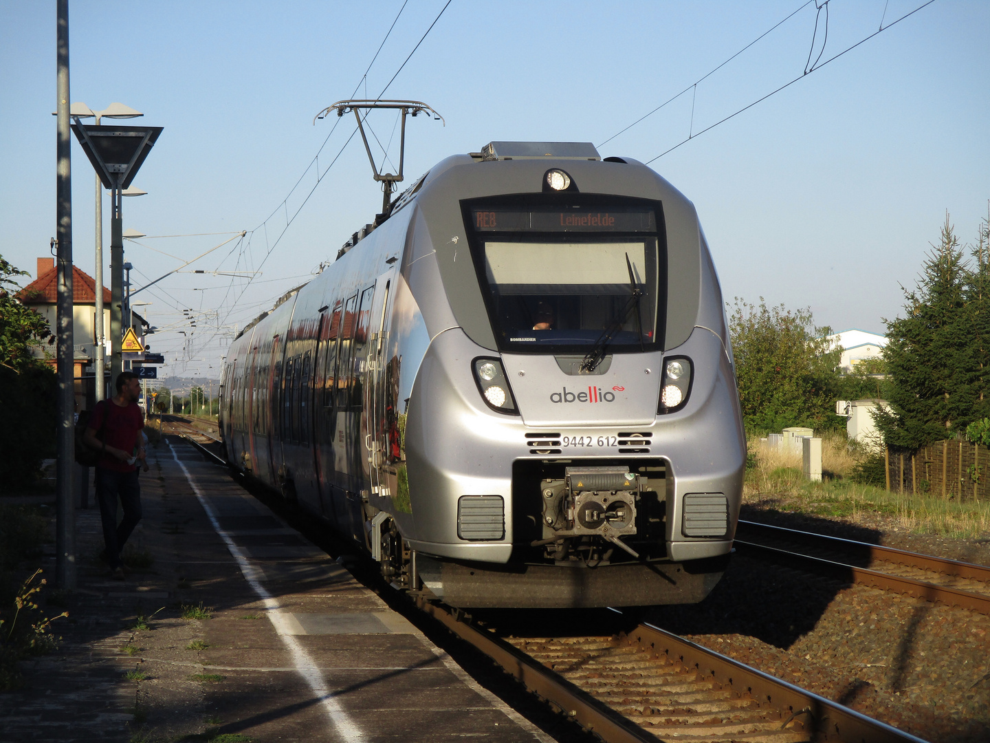 Abellio Hamster in Berga Kelbra im Abendlicht 2.