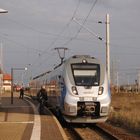 Abellio Hamster in Nordhausen. 