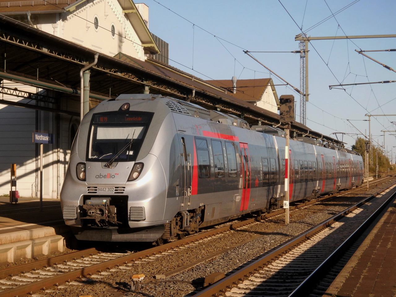 Abellio Hamster in Nordhausen. 