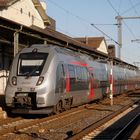 Abellio Hamster in Nordhausen. 