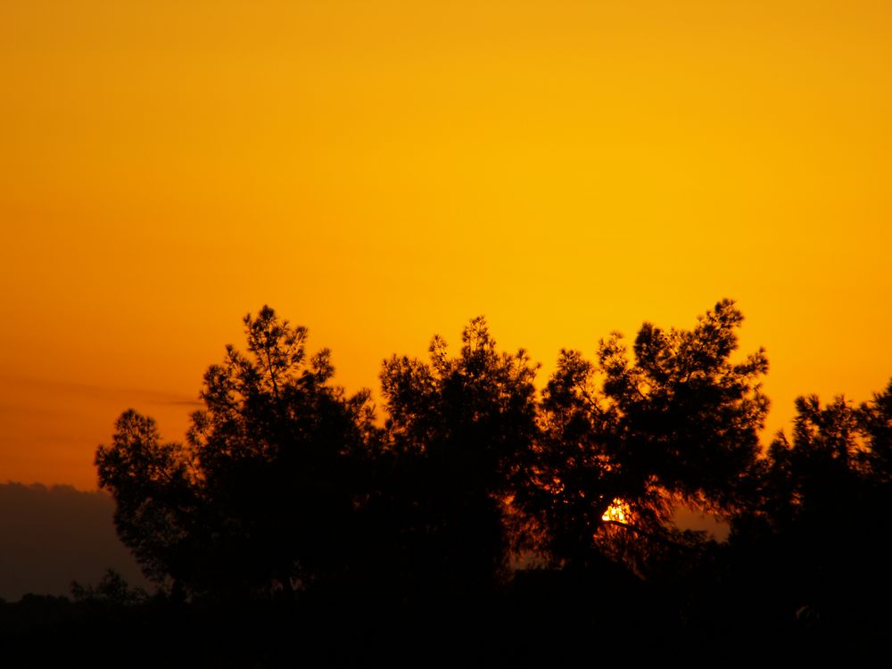 Abend Agios_Emilianos