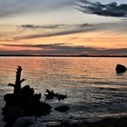 Abend am Achterwasser (Usedom)