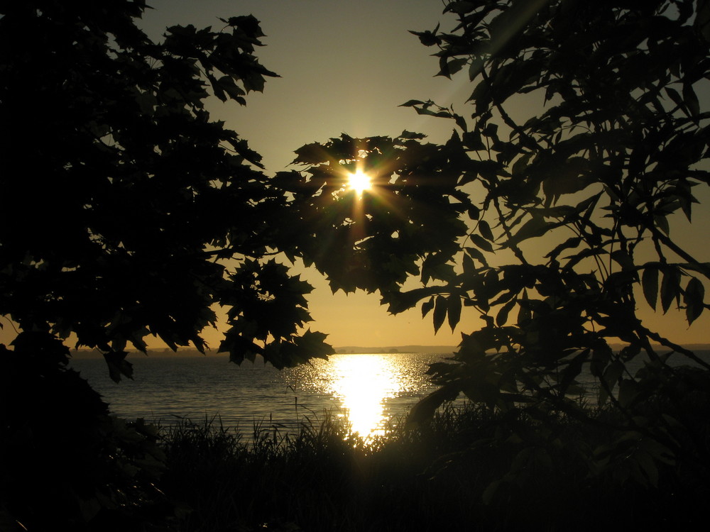 Abend am Achterwasser (Usedom)