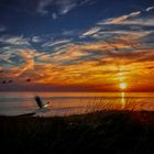 ABEND am ACHTERWASSER - Usedom 