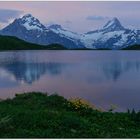 Abend am Bachalpsee .....