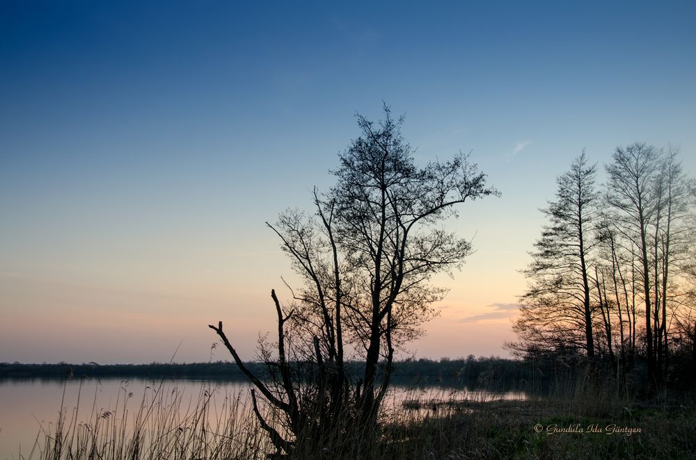 Abend am Balksee II