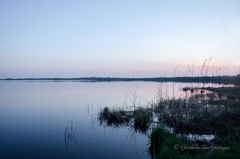 Abend am Balksee III