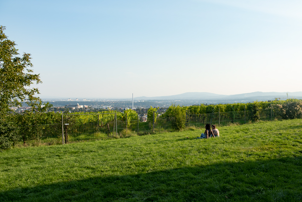 Abend am Berg