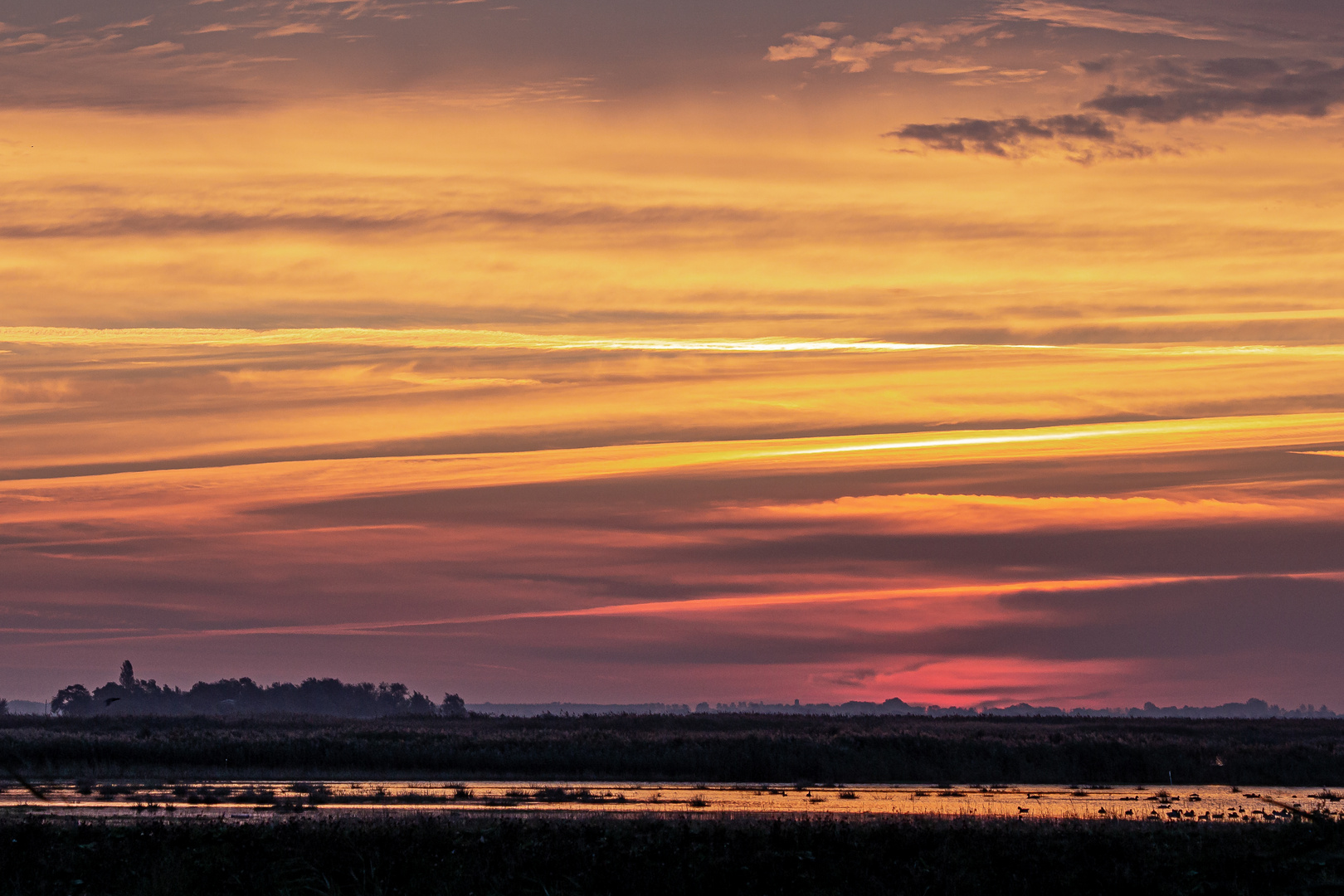 Abend am Bodden