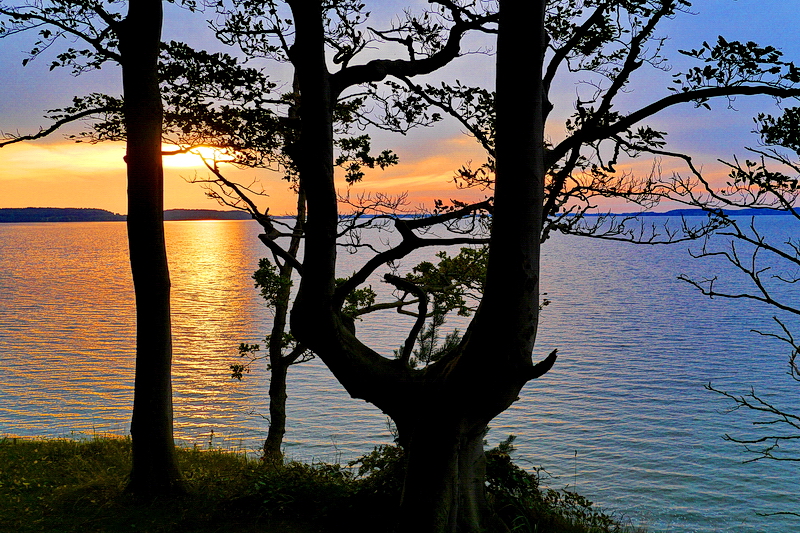 Abend am Bodden...