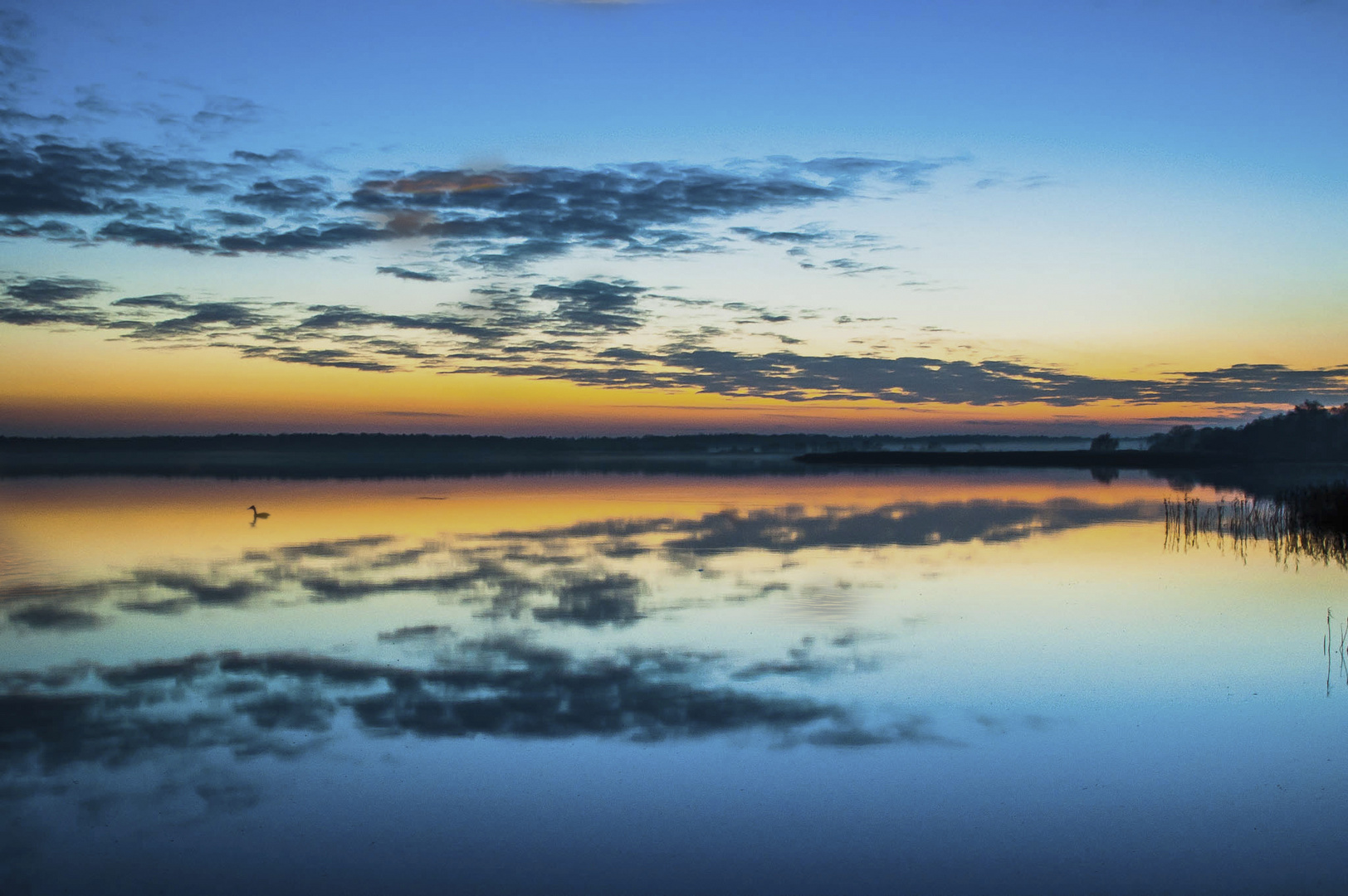 Abend am Bodden