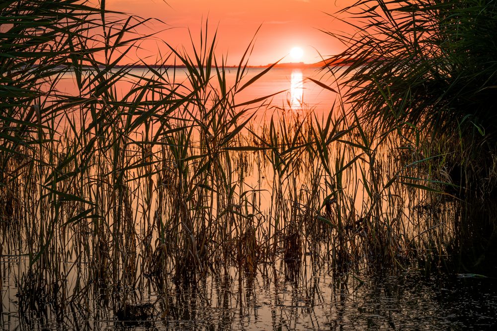 Abend am Boddenufer