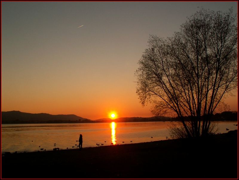 Abend am Bodensee