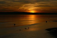 Abend am Bodensee