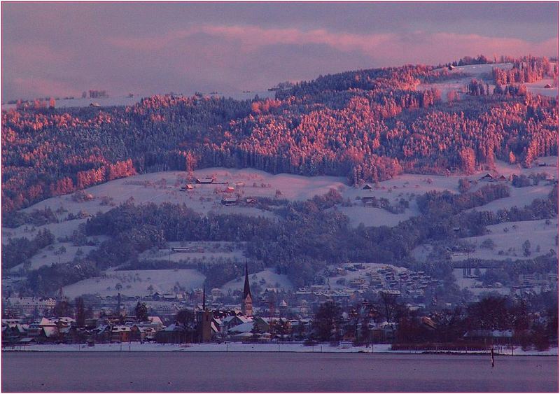 Abend am Bodensee - Steinach mit Rorschacherberg im Hintergrund