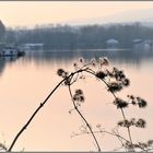 Abend am Bootshafen