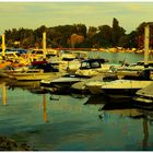 Abend am Bootshafen Schierstein/Rhein