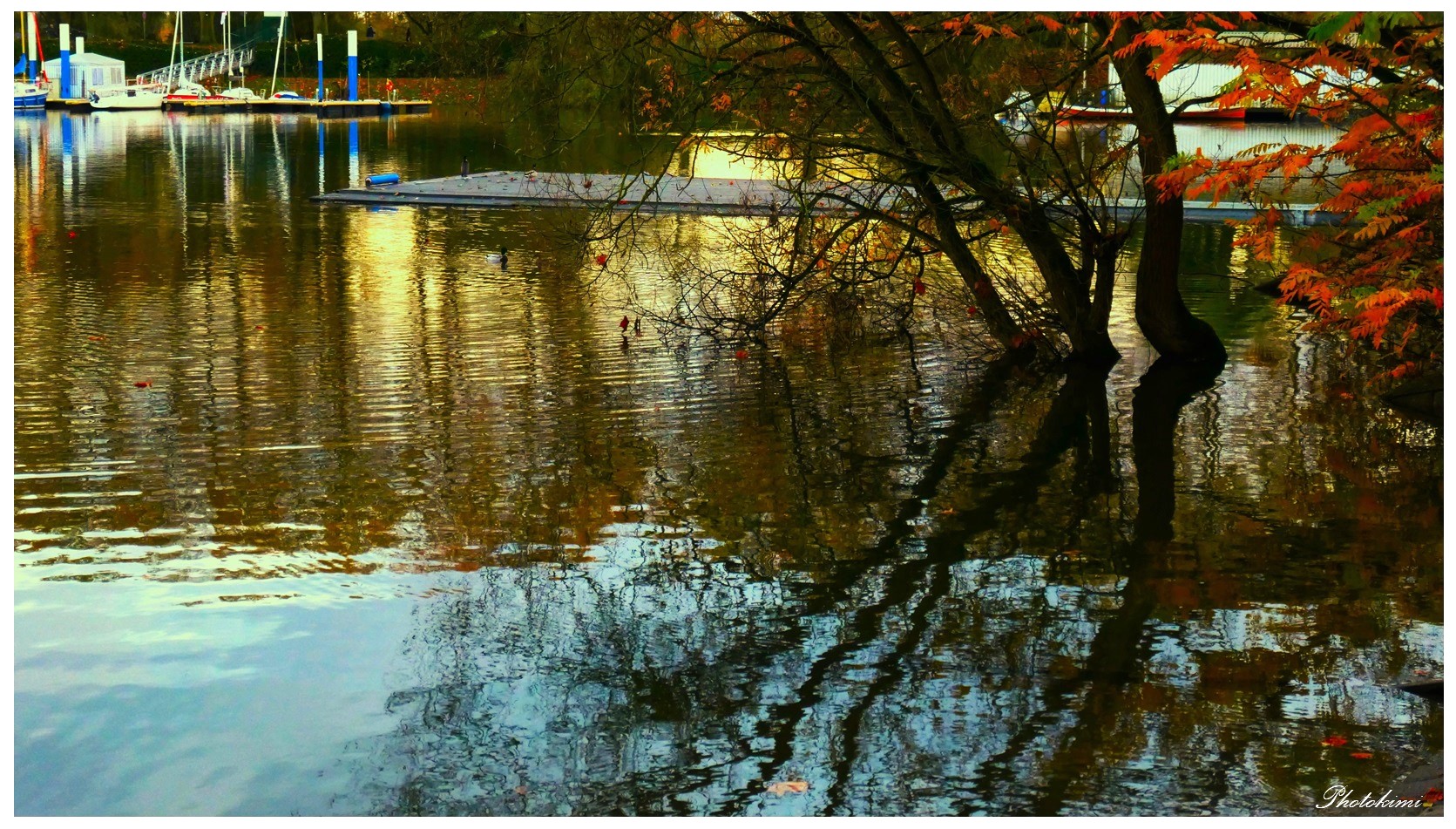 Abend am Bootshafen (V)