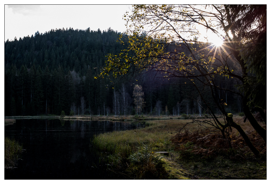 Abend am Buhlbachsee