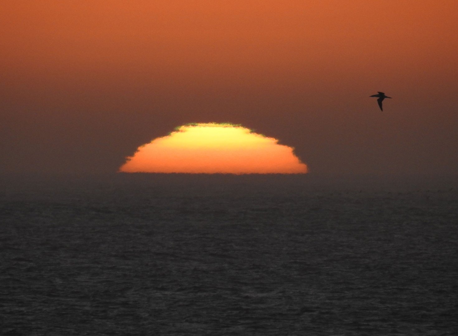 Abend am Cape Cross