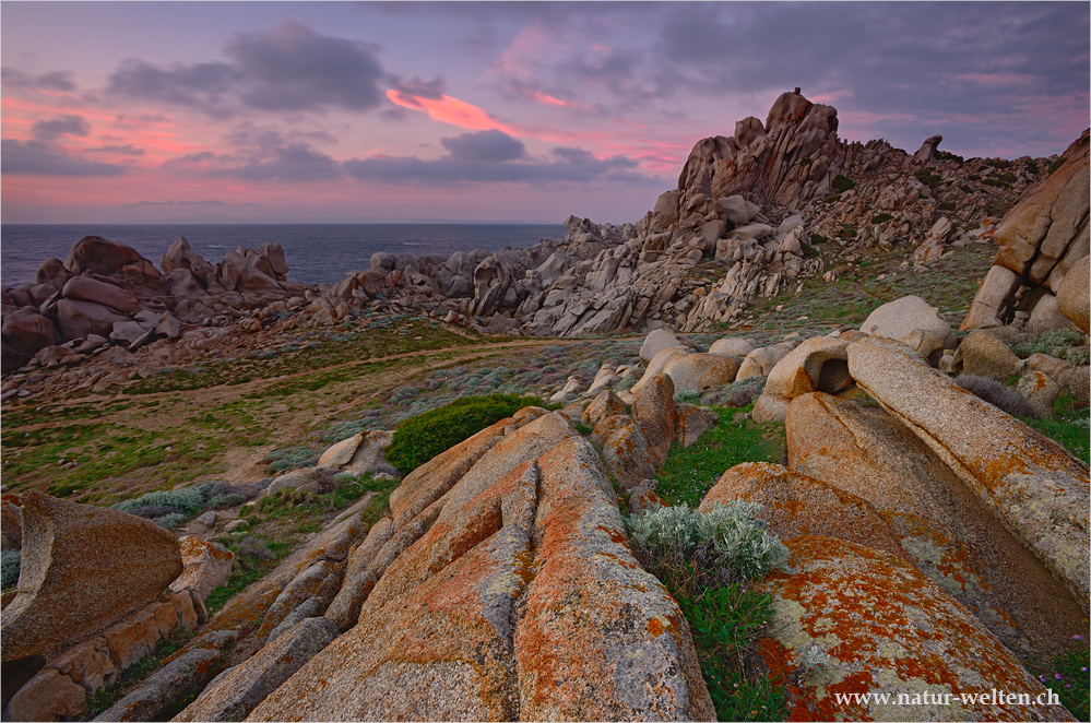 Abend am Capo Testa II