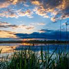 Abend am Federsee