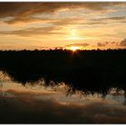 Abend am Federsee...