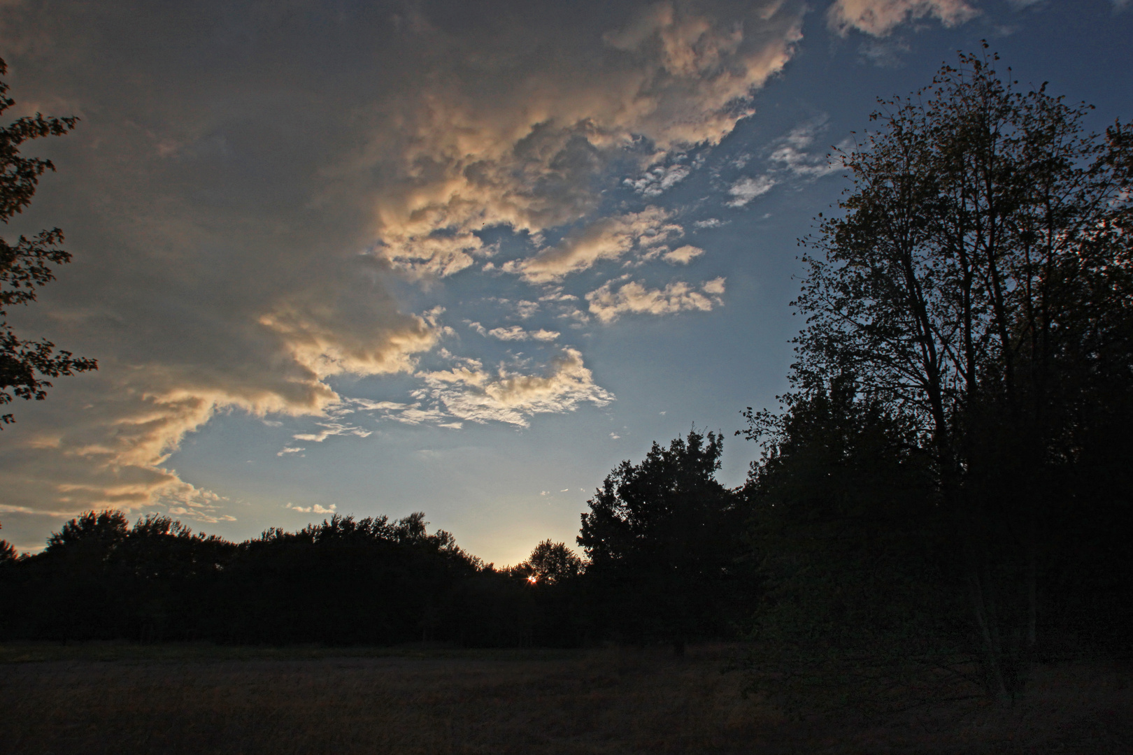 Abend am Feld