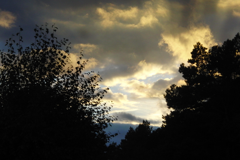 Abend am Fleesensee