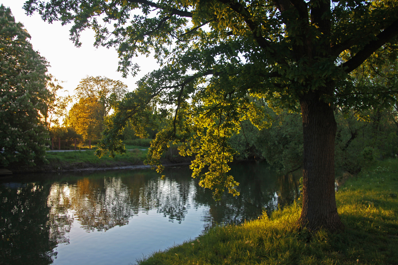 Abend am Fluss