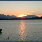 Abend am Forggensee