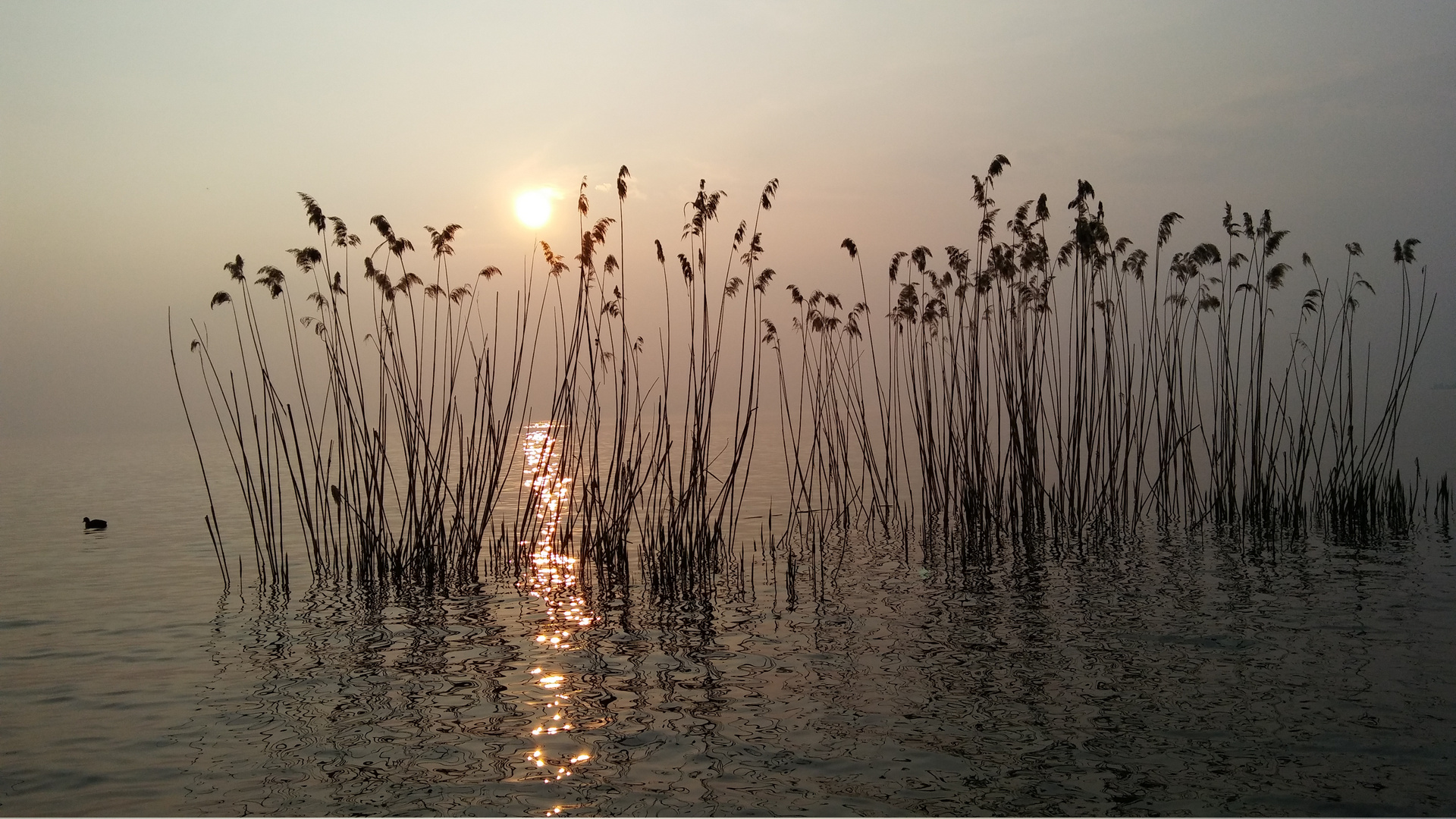 Abend am Gardasee                                                        2017 Italien   