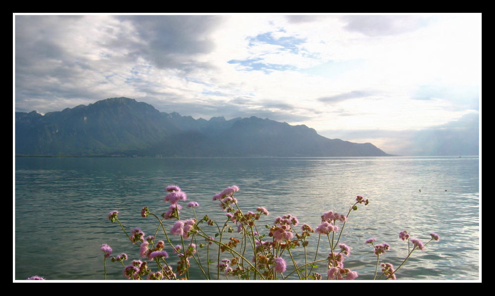 abend am genfer see