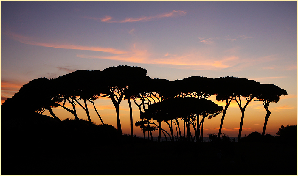 Abend am Golfo di Baratti