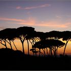 Abend am Golfo di Baratti