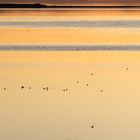 Abend am Großen Salzsee