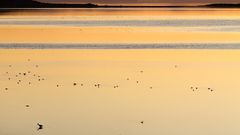 Abend am Großen Salzsee