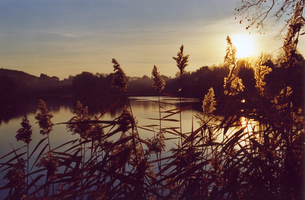 Abend am Großen Teich