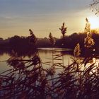 Abend am Großen Teich