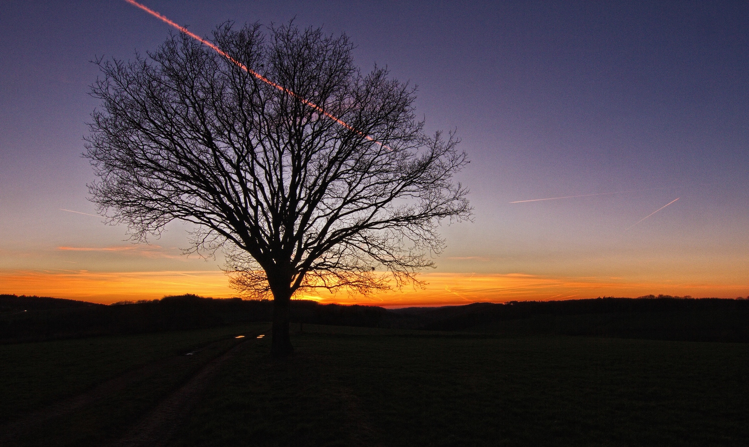 Abend am Hedberg 