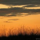 Abend am Hegaukreuz....