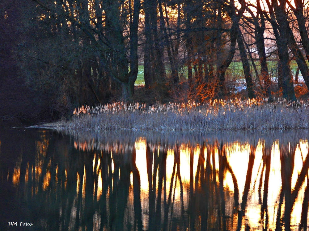 Abend am Herthasee